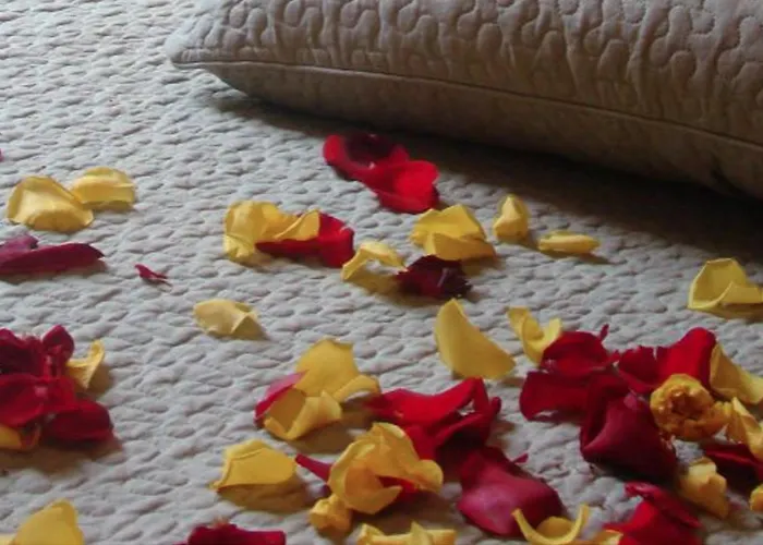 Albergo economico: Hotel Alla Villa Fini